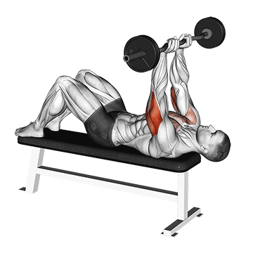 How to do EZ-Bar JM Bench Press — animated demonstration