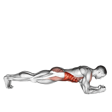 How to do Front Plank with Twist — animated demonstration