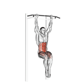 How to do Hanging Pike — animated demonstration