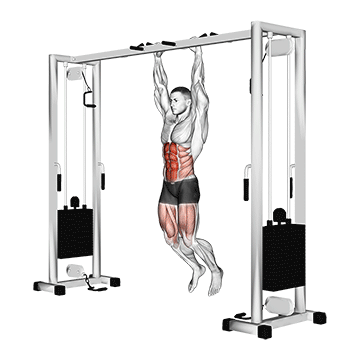 How to do Hanging Straight Leg Hip Raise — animated demonstration