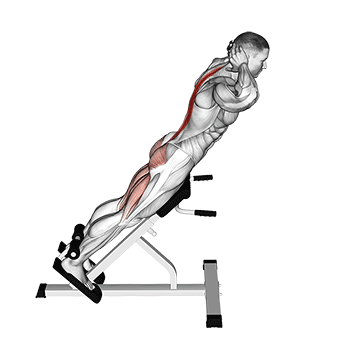 How to do Hyperextension — animated demonstration