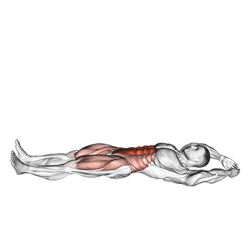 How to do Jackknife Sit-Up — animated demonstration