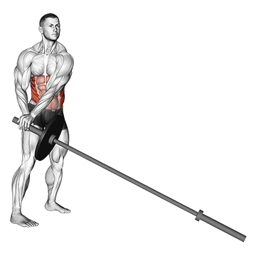 How to do Barbell Landmine 180 — animated demonstration