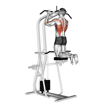 How to do Lever Assisted Chin-Up — animated demonstration