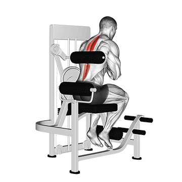How to do Lever Back Extension — animated demonstration