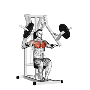 How to do Lever Chest Press — animated demonstration