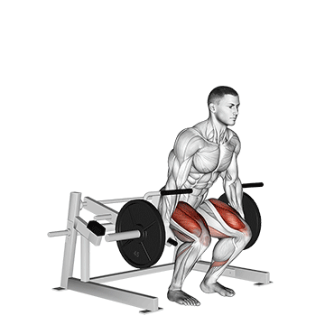 How to do Lever Deadlift — animated demonstration