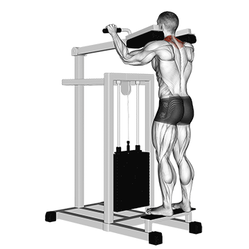 How to do Lever Gripless Shrug — animated demonstration