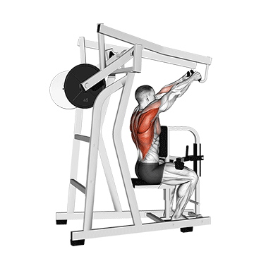 How to do Lever High Row — animated demonstration