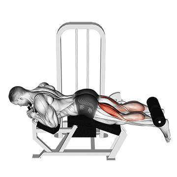How to do Lever Lying Leg Curl — animated demonstration