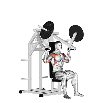 How to do Lever Military Press — animated demonstration