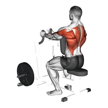 How to do Lever Narrow Grip Seated Row — animated demonstration