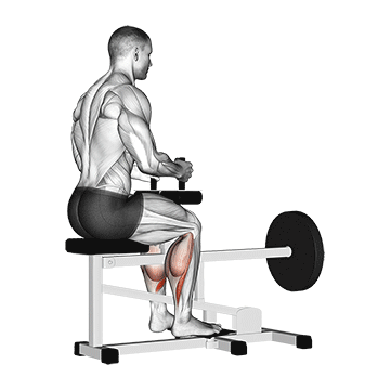 How to do Lever Seated Calf Raise — animated demonstration