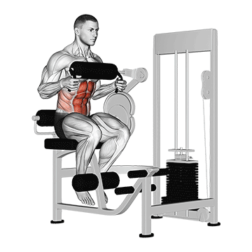 How to do Lever Seated Crunch (Chest Pad) — animated demonstration