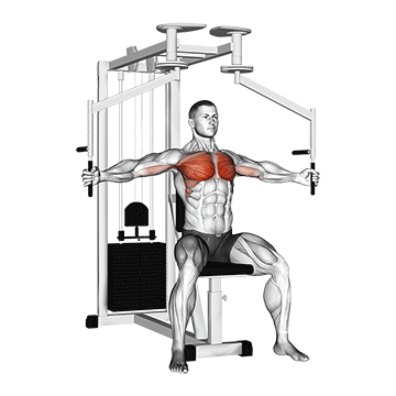How to do Lever Seated Fly — animated demonstration