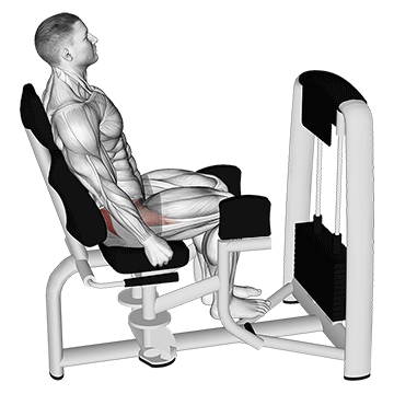 How to do Lever Seated Hip Abduction — animated demonstration