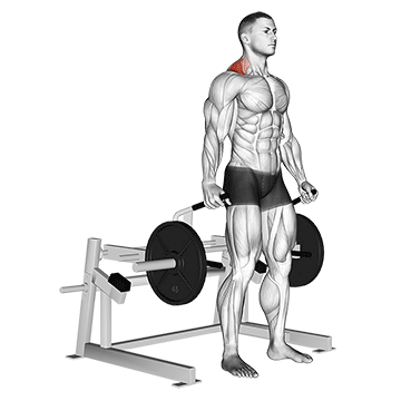 How to do Lever Shrug — animated demonstration