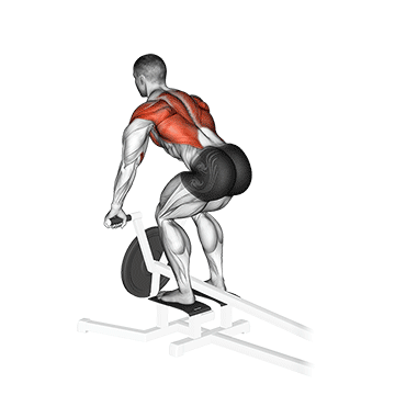 How to do Lever T Bar Row — animated demonstration