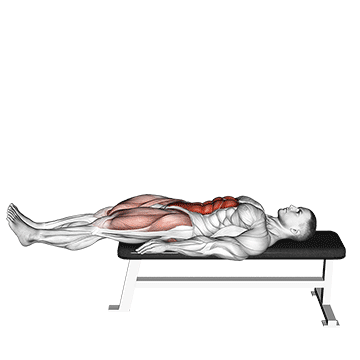 How to do Lying Leg Raise Flat Bench — animated demonstration