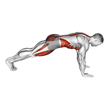 How to do Mountain Climber — animated demonstration