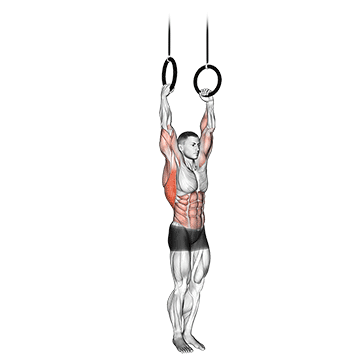 How to do Ring Muscle Up — animated demonstration