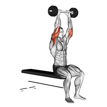 How to do Olympic Barbell Triceps Extension — animated demonstration