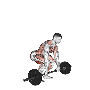 How to do Barbell Power Clean — animated demonstration