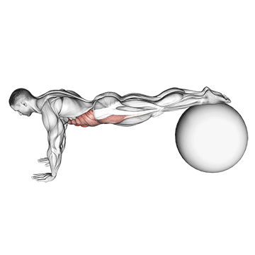 How to do Stability Ball Pull-In — animated demonstration