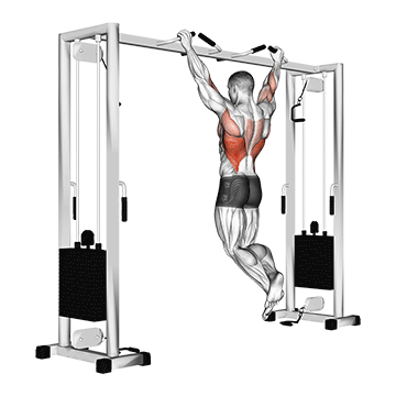 How to do Neutral-Grip Pull-Up — animated demonstration