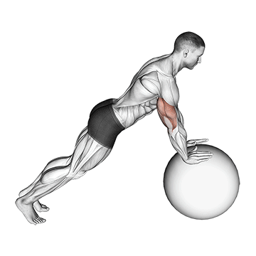 How to do Stability Ball Push-Up — animated demonstration