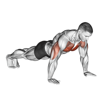 How to do Push-Up — animated demonstration