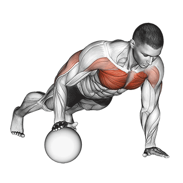 How to do Medicine Ball Push-Up — animated demonstration