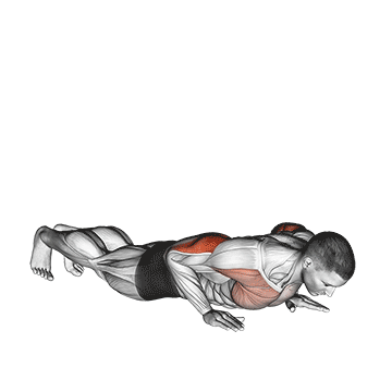 How to do Reverse Dip — animated demonstration