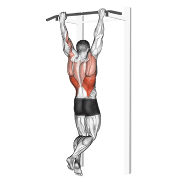 How to do Rocky Pull-Up Pulldown — animated demonstration