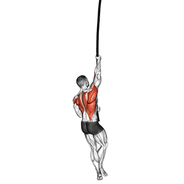 How to do Rope Climb — animated demonstration
