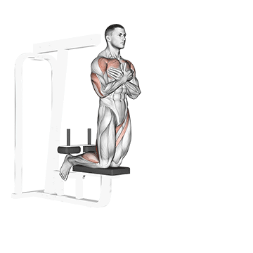 How to do Self-Assisted Inverse Leg Curl — animated demonstration