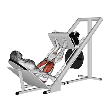 How to do Leg Press — animated demonstration