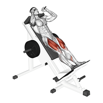 How to do Hack Squat — animated demonstration