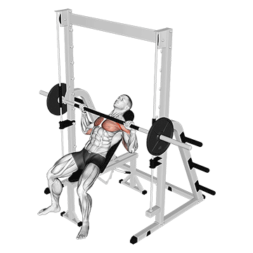 How to do Smith Incline Bench Press — animated demonstration