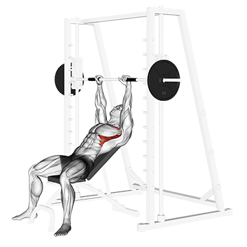 How to do Smith Incline Shoulder Raises — animated demonstration