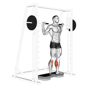 How to do Smith Reverse Calf Raises — animated demonstration