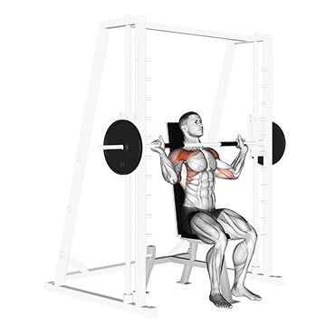 How to do Smith Shoulder Press — animated demonstration