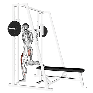 How to do Smith Bulgarian Split Squat — animated demonstration