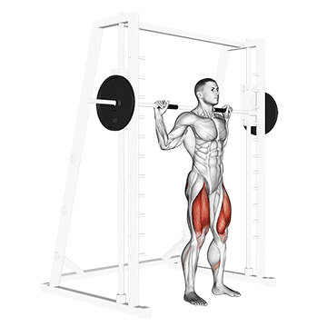 How to do Smith Squat — animated demonstration