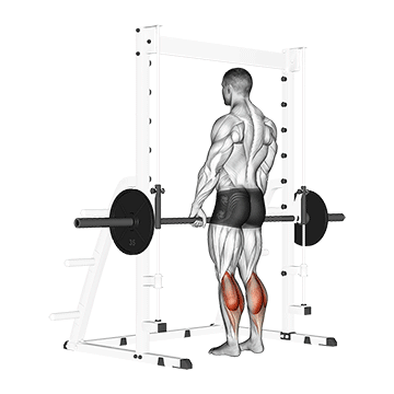 How to do Smith Standing Leg Calf Raise — animated demonstration