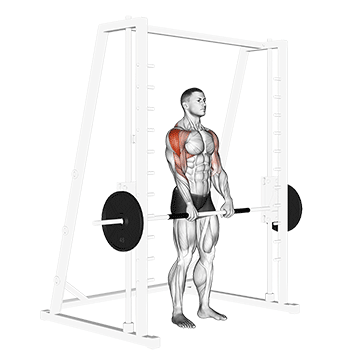 How to do Smith Upright Row — animated demonstration