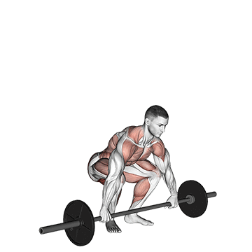 How to do Barbell Snatch Pull — animated demonstration