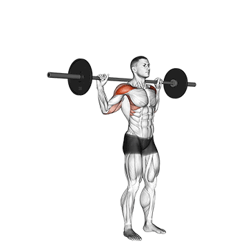 How to do Barbell Standing Behind Neck Press — animated demonstration