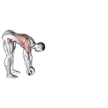 How to do Standing Wheel Rollout — animated demonstration