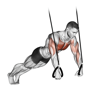 How to do Suspended Push-Up — animated demonstration